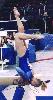 gering03 (305x575, 46kb)